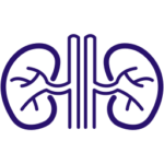 organ